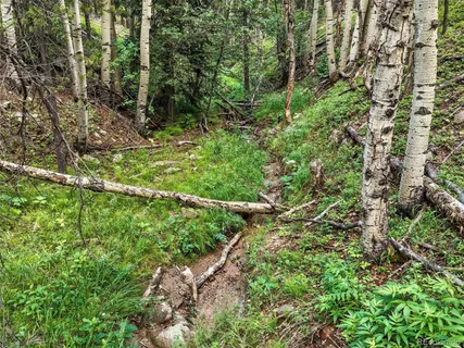 $350,000 | Aspen Way, Evergreen, CO 80439