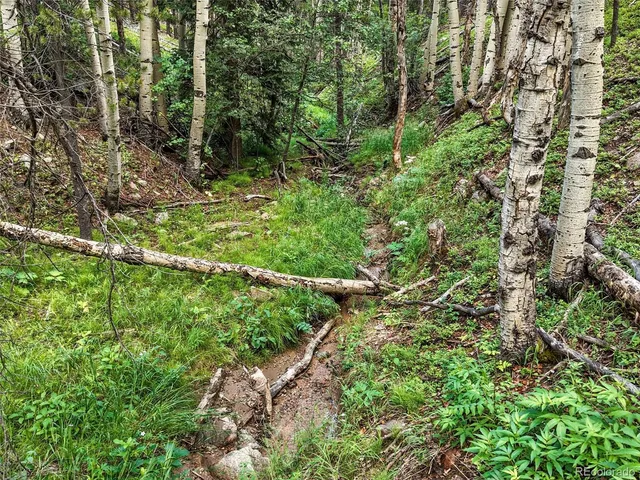 a view of a yard with a tree