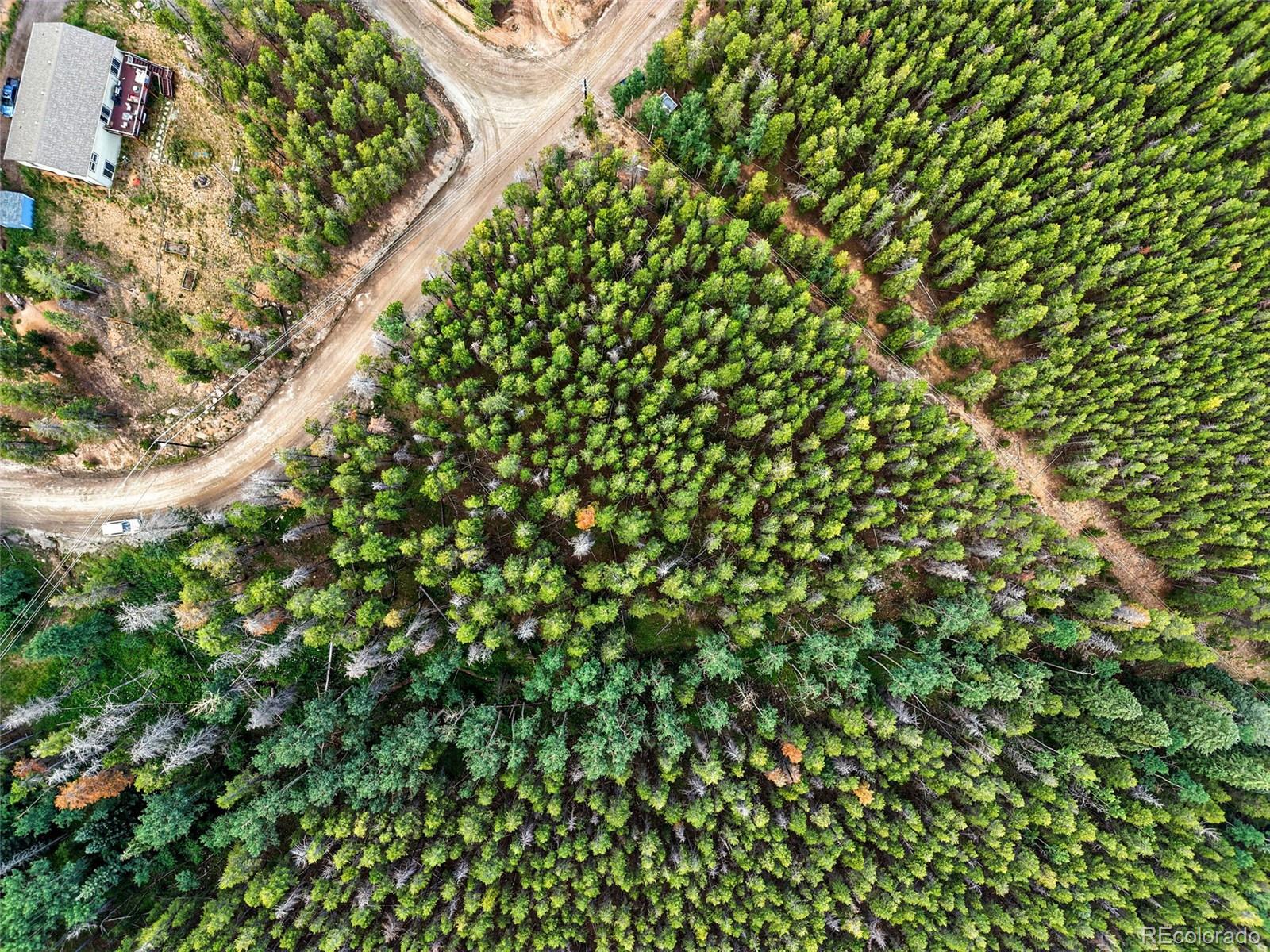 Aspen Way Evergreen, CO 80439 - Photo 24 of 24