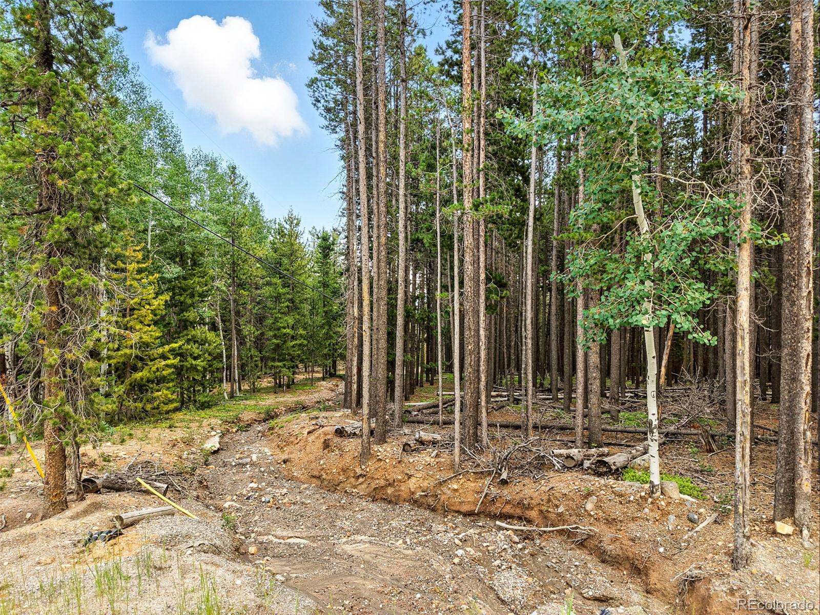 Aspen Way Evergreen, CO 80439 - Photo 3 of 24
