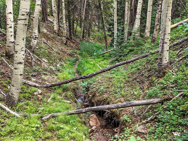 $350,000 | Aspen Way, Evergreen, CO 80439