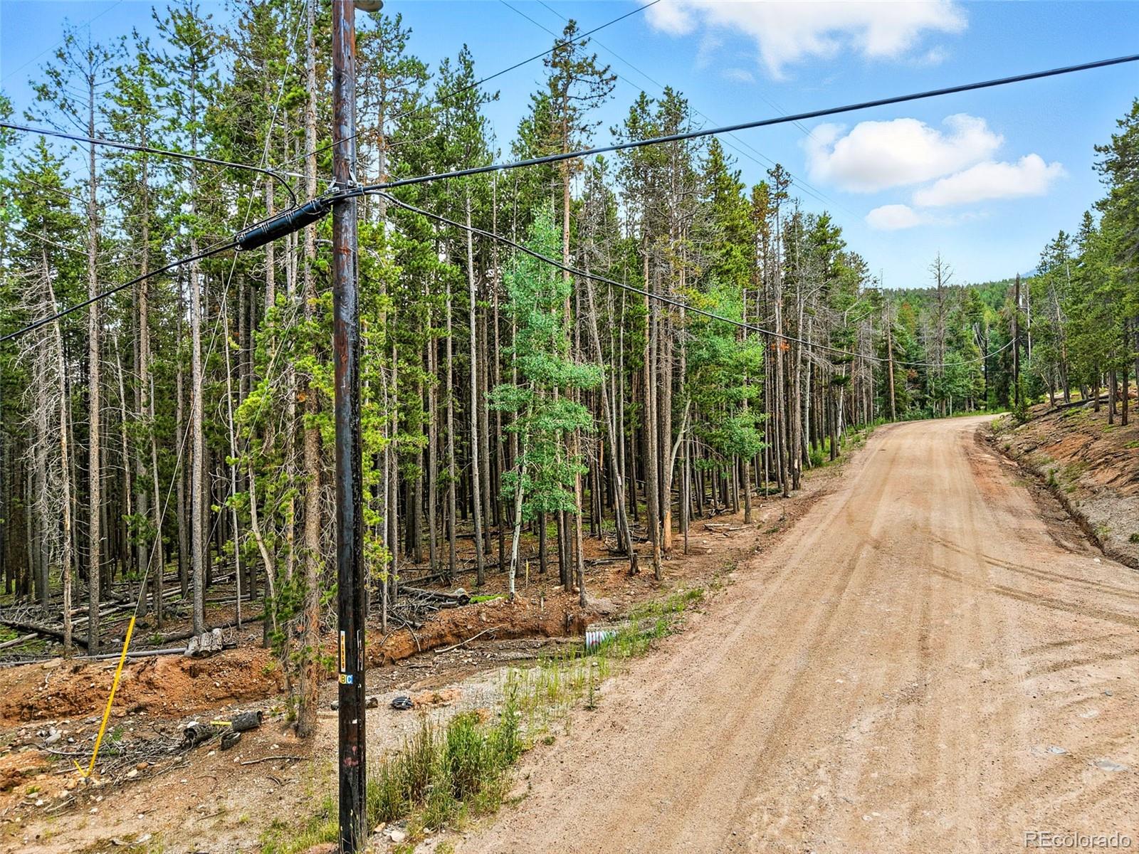 Aspen Way Evergreen, CO 80439 - Photo 4 of 24