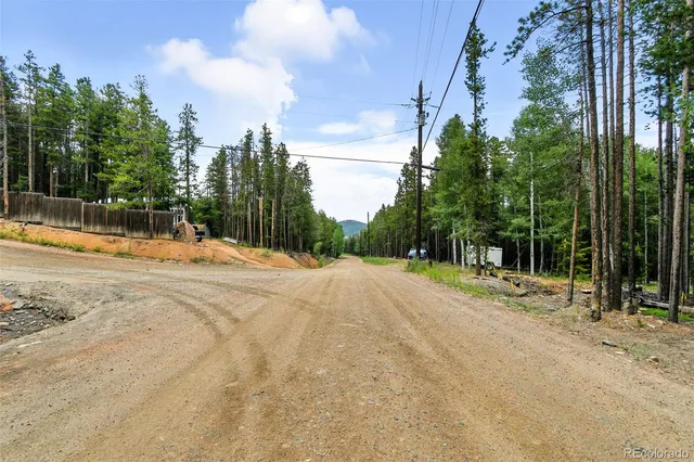 a view of large space with large trees