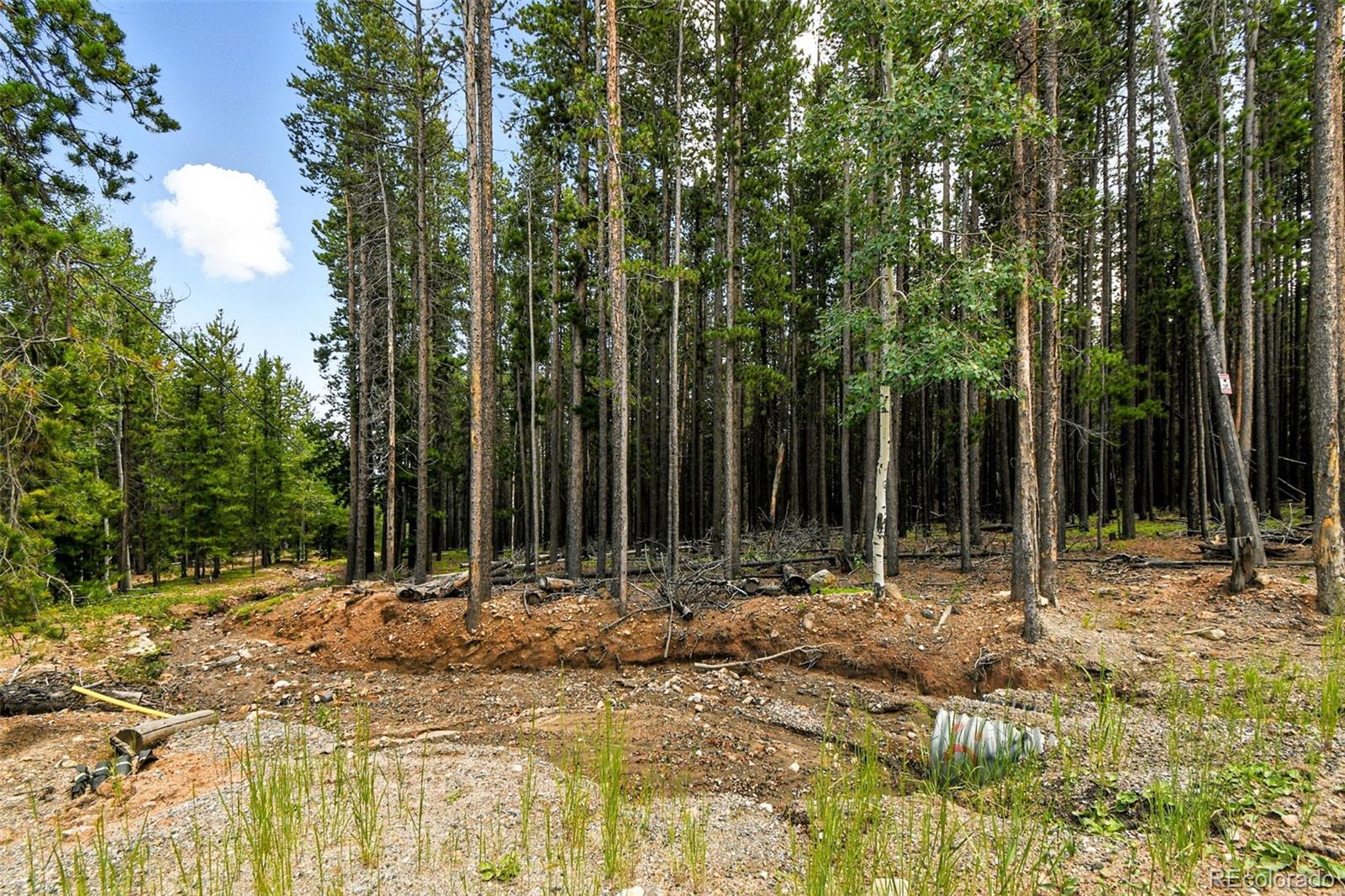 Aspen Way Evergreen, CO 80439 - Photo 7 of 24