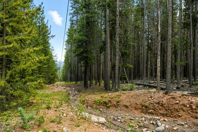 a view of outdoor space with trees