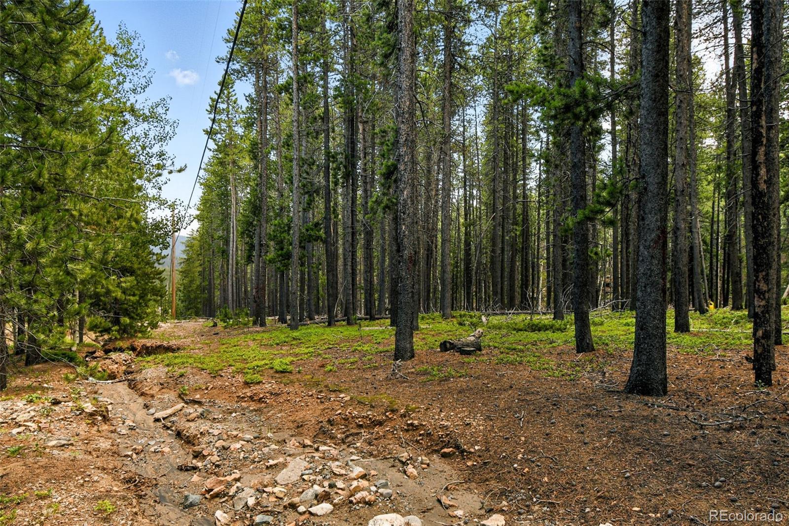 Aspen Way Evergreen, CO 80439 - Photo 9 of 24