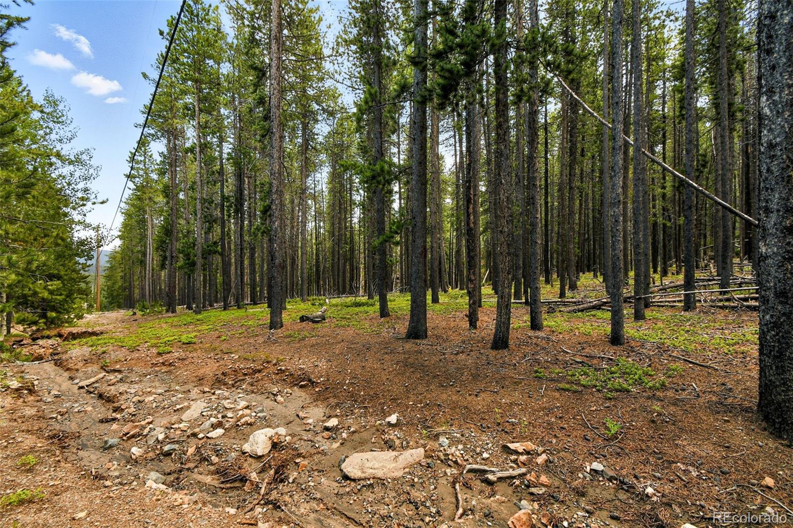 Aspen Way Evergreen, CO 80439 - Photo 10 of 24