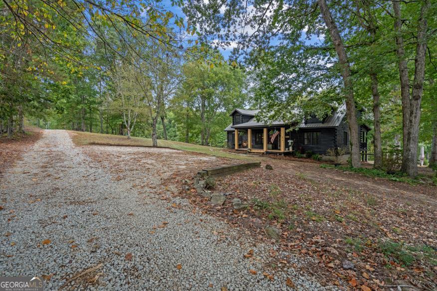 915 Pea Ridge Road Franklin, GA 30217 - Photo 2 of 46