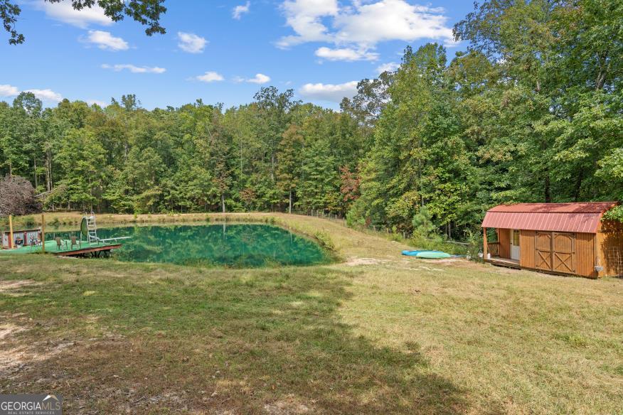 915 Pea Ridge Road Franklin, GA 30217 - Photo 40 of 46