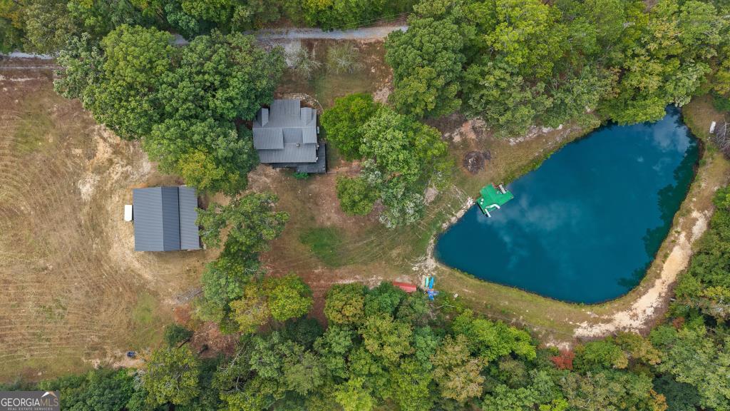 915 Pea Ridge Road Franklin, GA 30217 - Photo 43 of 46