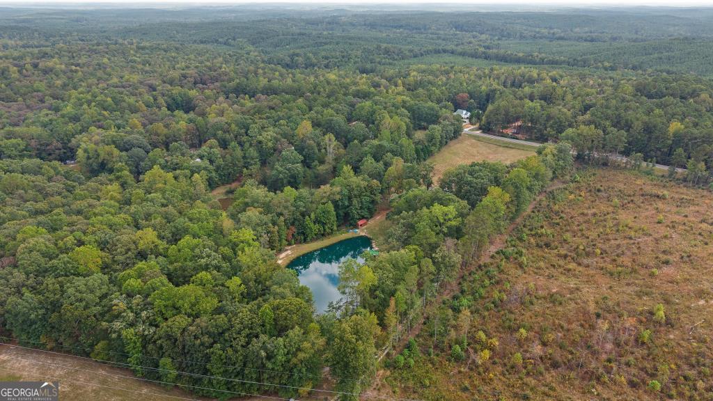 915 Pea Ridge Road Franklin, GA 30217 - Photo 45 of 46