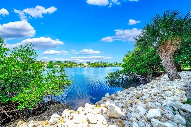 a view of a lake with a yard