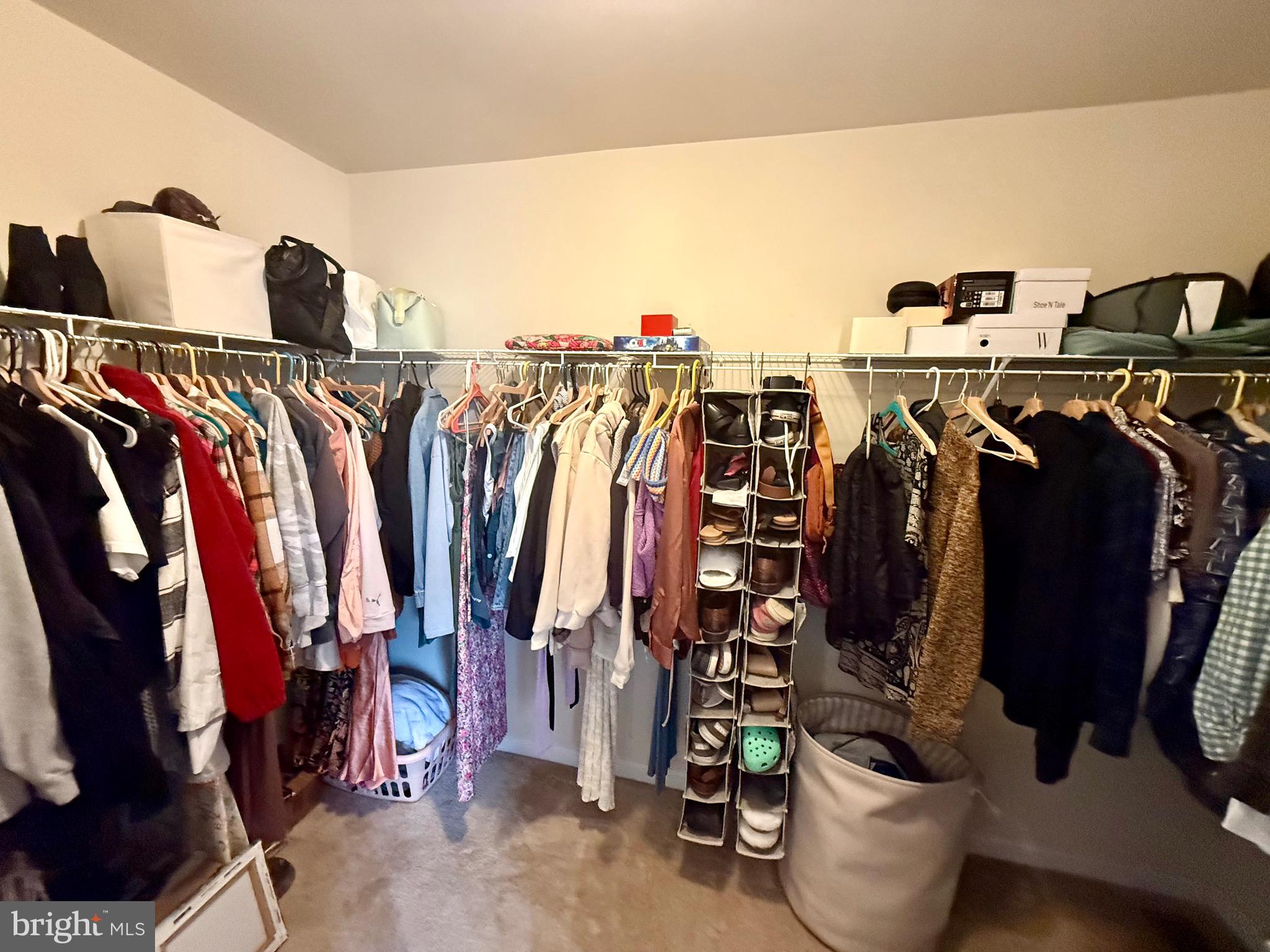 236 Schramm Loop Stephens City, VA 22655 - Photo 20 of 26 a view of walk in closet with clothes and shoes