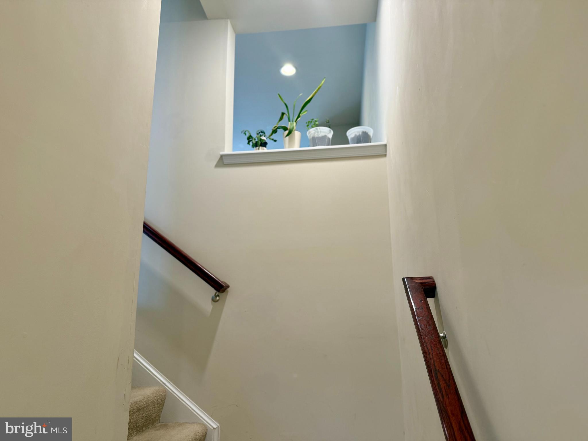 236 Schramm Loop Stephens City, VA 22655 - Photo 7 of 26 a view of entryway