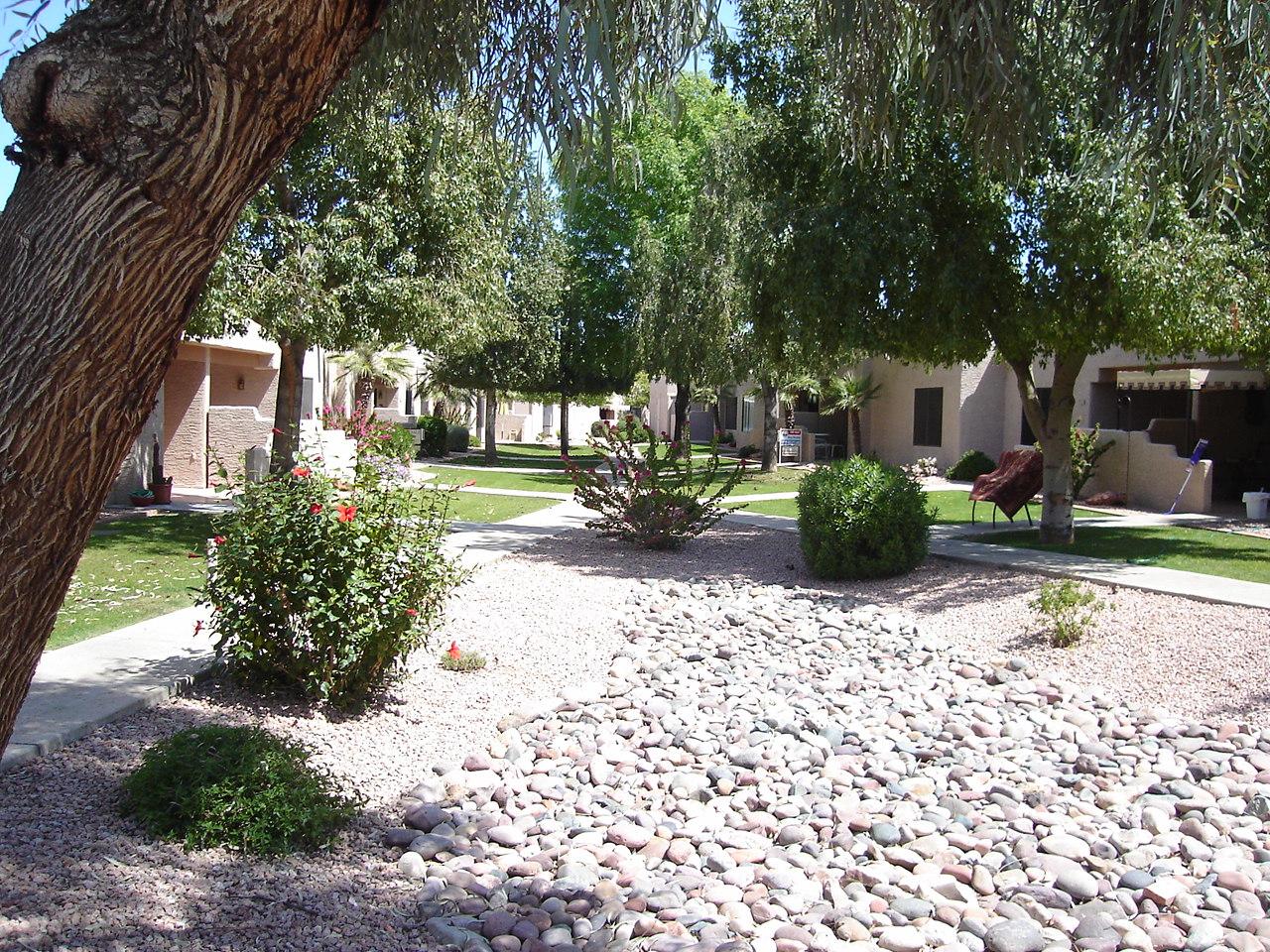 14300 West Bell Road, Unit 425 Surprise, AZ 85374 - Photo 3 of 22 20