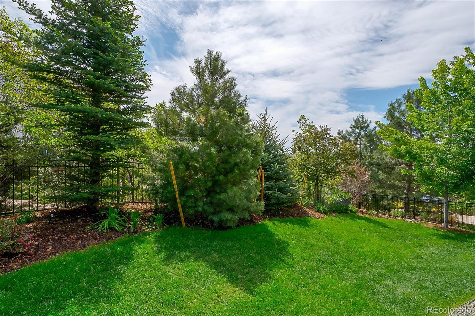 1073 Buffalo Ridge Road Castle Pines, CO 80108 - Photo 12 of 35 Gallery Image 12