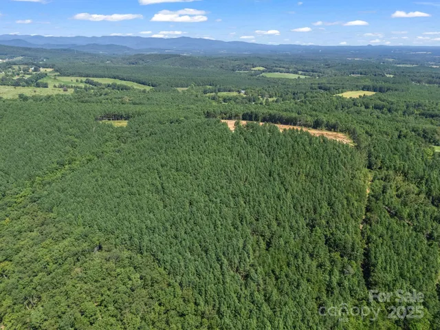 a view of lake with lush green forest