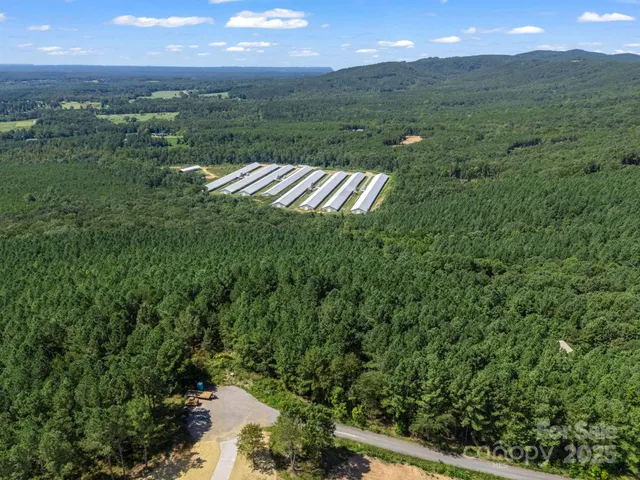a view of a city with lush green forest