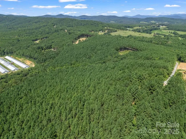 a view of a green field with lots of bushes
