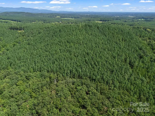 a view of a garden with plants