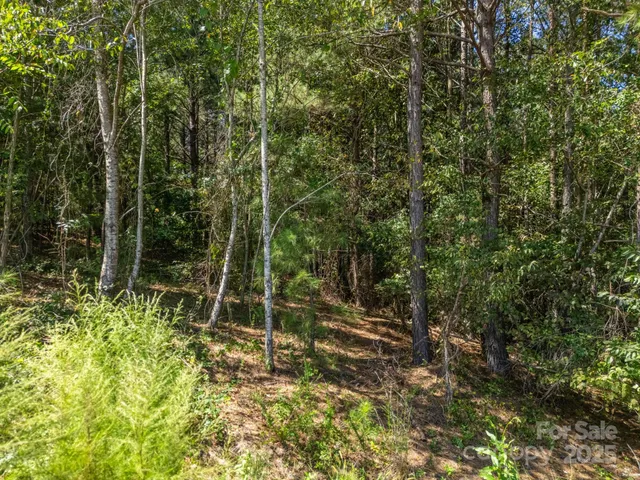 a view of a lake with a yard