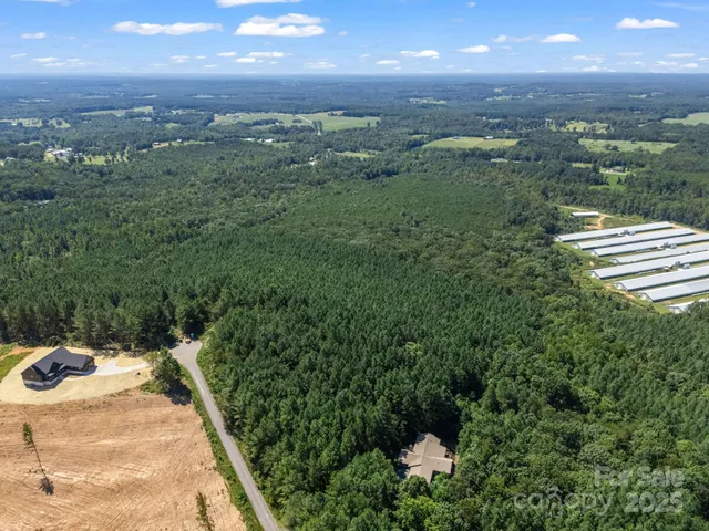 a view of a city with lush green forest