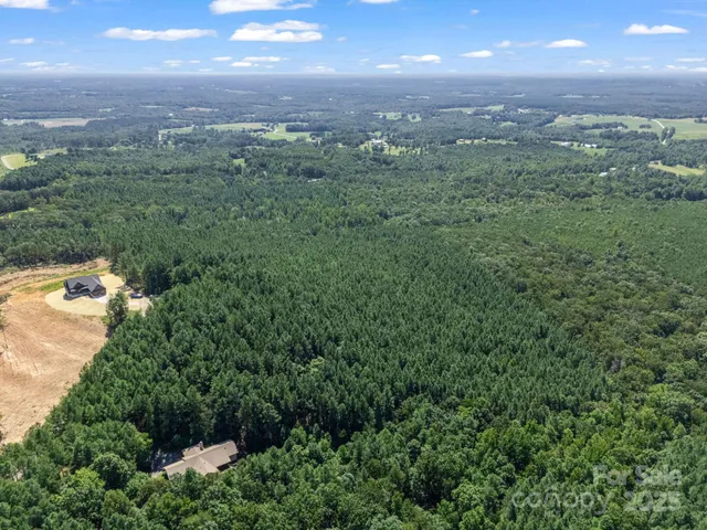 a view of a city with lush green forest