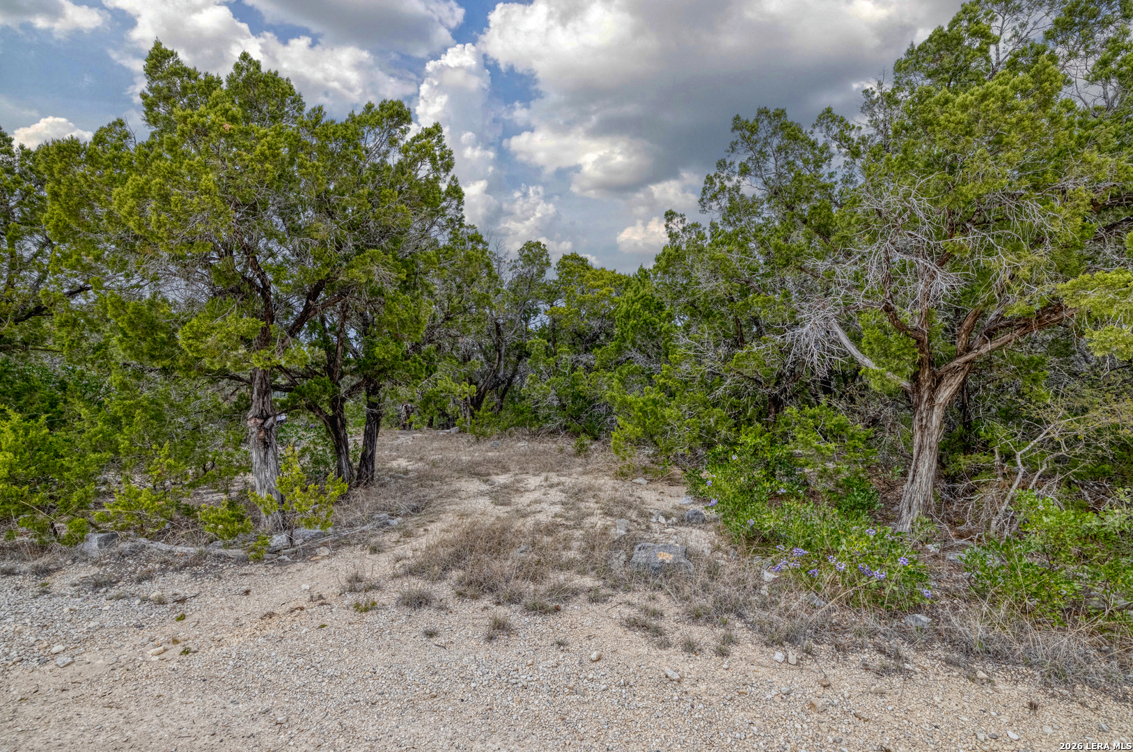 9600 Ranch To Market Road 336 Leakey, TX 78873 - Photo 11 of 22
