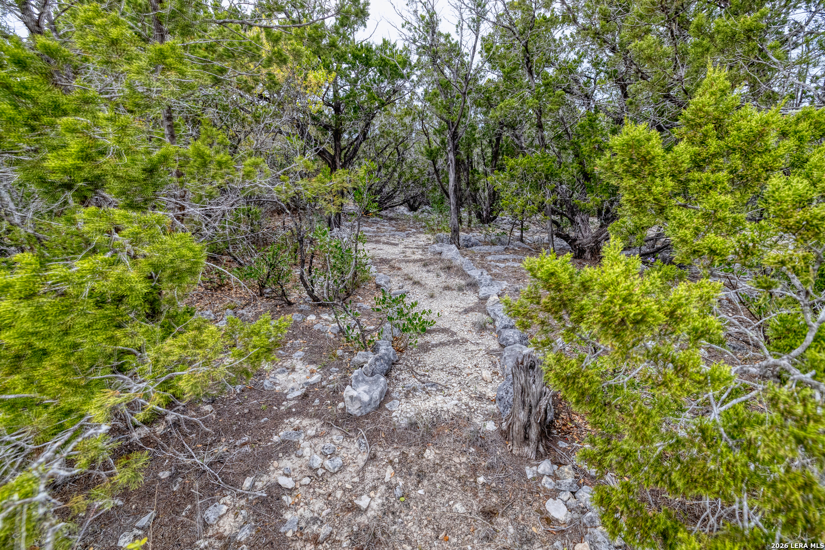 9600 Ranch To Market Road 336 Leakey, TX 78873 - Photo 3 of 22