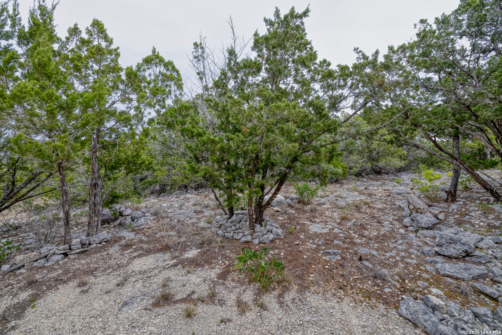 9600 Ranch To Market Road 336 Leakey, TX 78873 - Photo 4 of 22