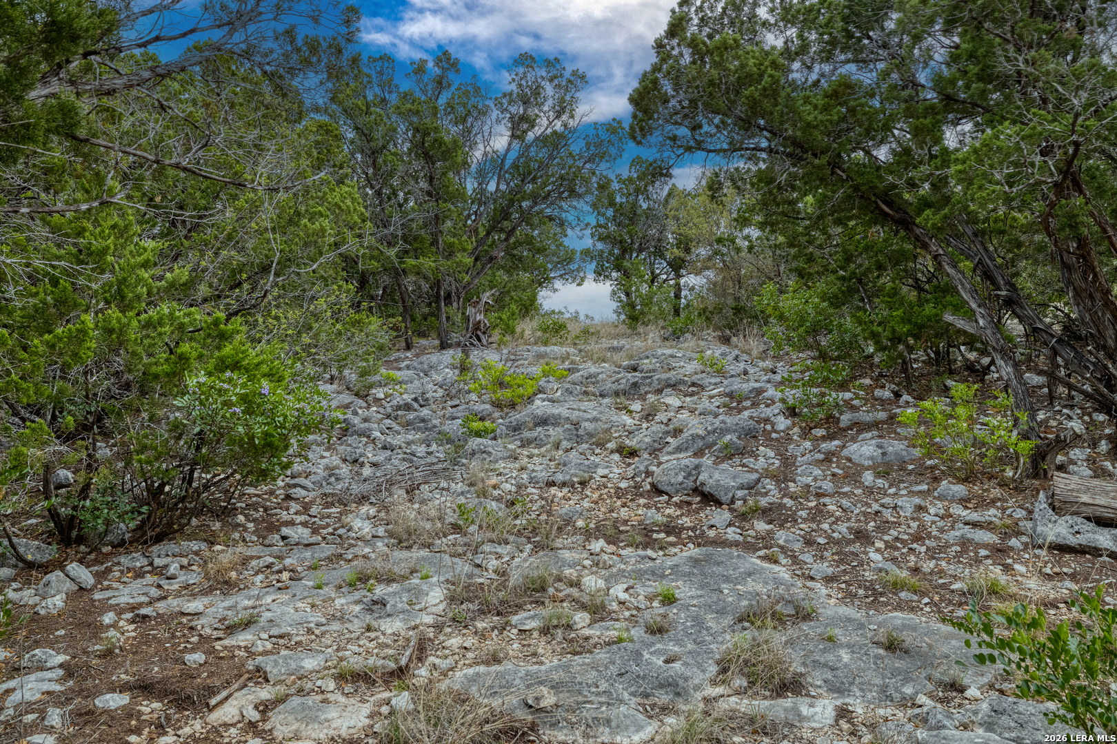 9600 Ranch To Market Road 336 Leakey, TX 78873 - Photo 7 of 22