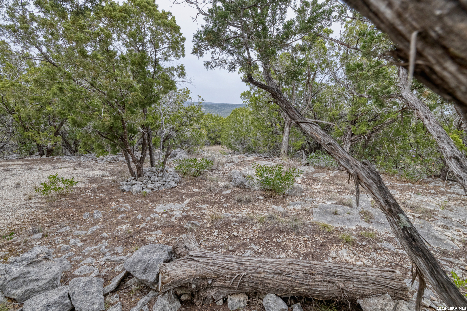9600 Ranch To Market Road 336 Leakey, TX 78873 - Photo 8 of 22