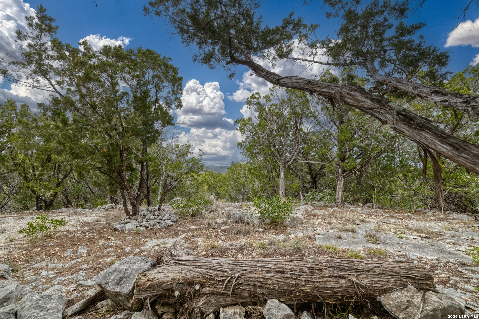 9600 Ranch To Market Road 336 Leakey, TX 78873 - Photo 10 of 22