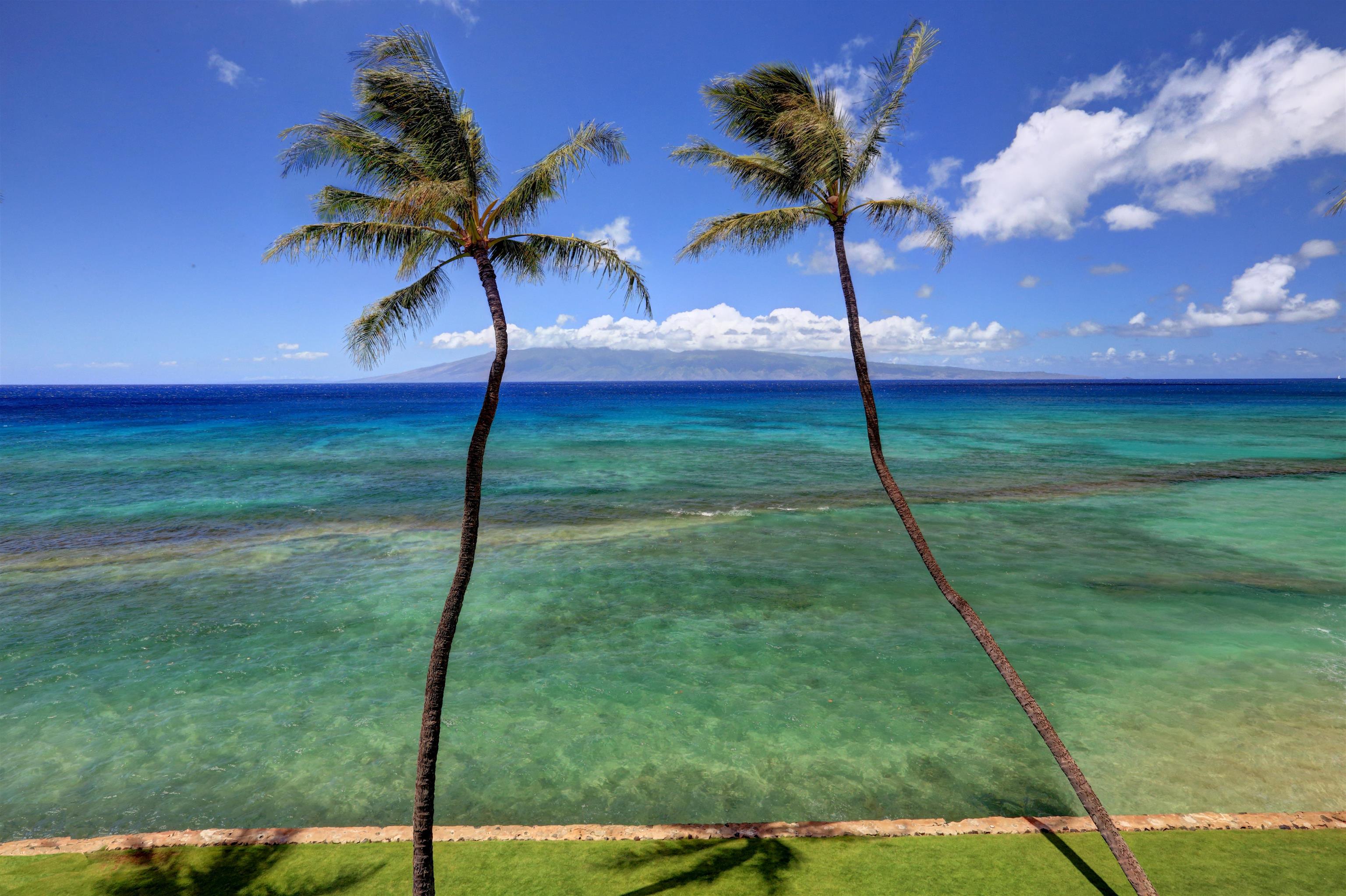 3543 Lower Honoapiilani Road, Unit K403 Lahaina, HI 96761 - Photo 1 of 29 a view of a big yard