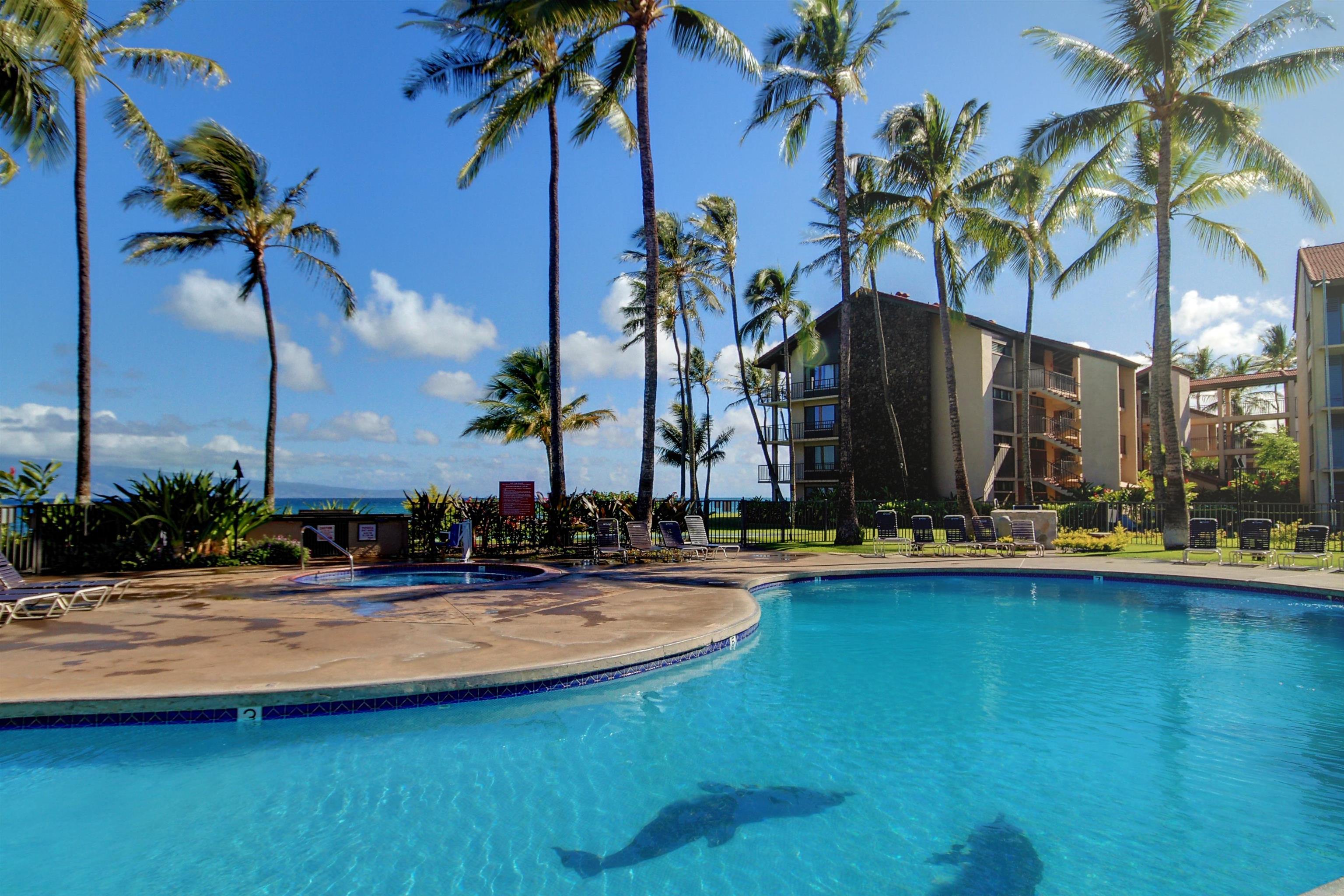 3543 Lower Honoapiilani Road, Unit K403 Lahaina, HI 96761 - Photo 12 of 29 a view of a swimming pool with a table and chairs under palm trees