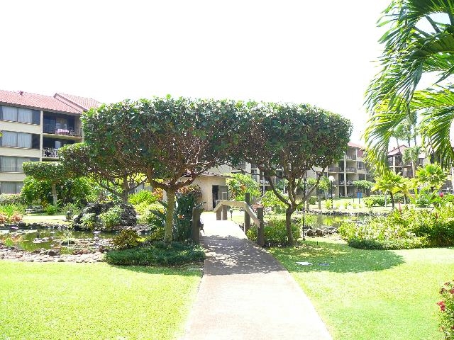 3543 Lower Honoapiilani Road, Unit K403 Lahaina, HI 96761 - Photo 19 of 29 a view of a house with a yard and potted plants