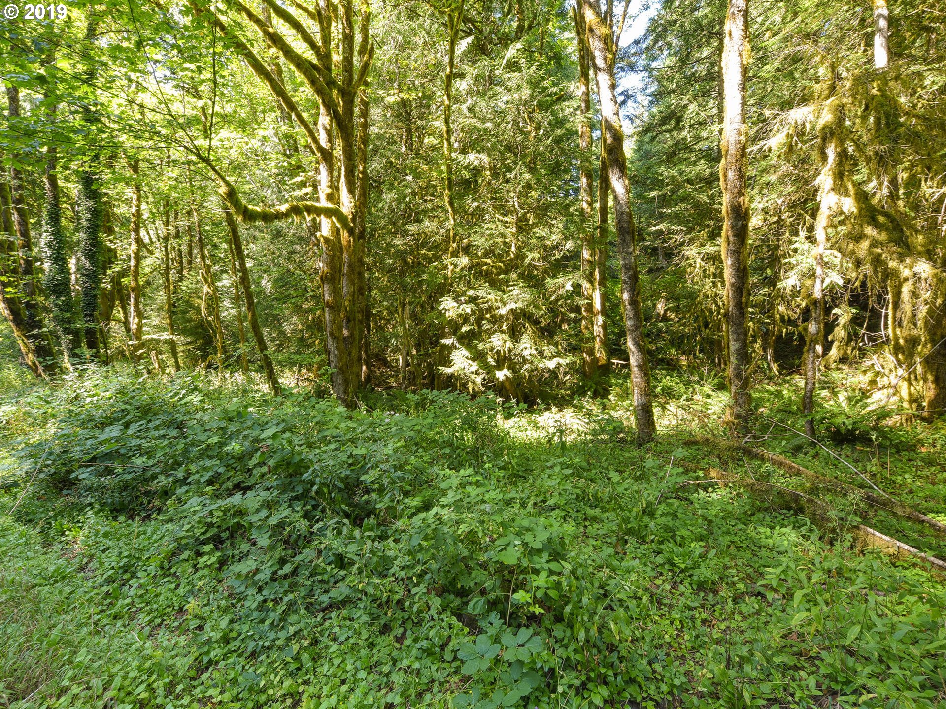 0 East Welches Road, Unit 7 Welches, OR 97067 - Photo 1 of 32 Gallery Image 1