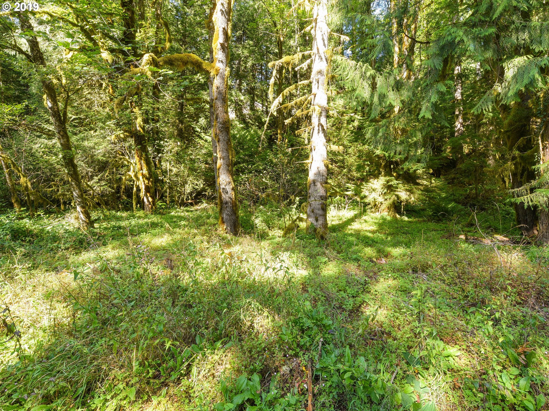 0 East Welches Road, Unit 7 Welches, OR 97067 - Photo 11 of 32 Gallery Image 11