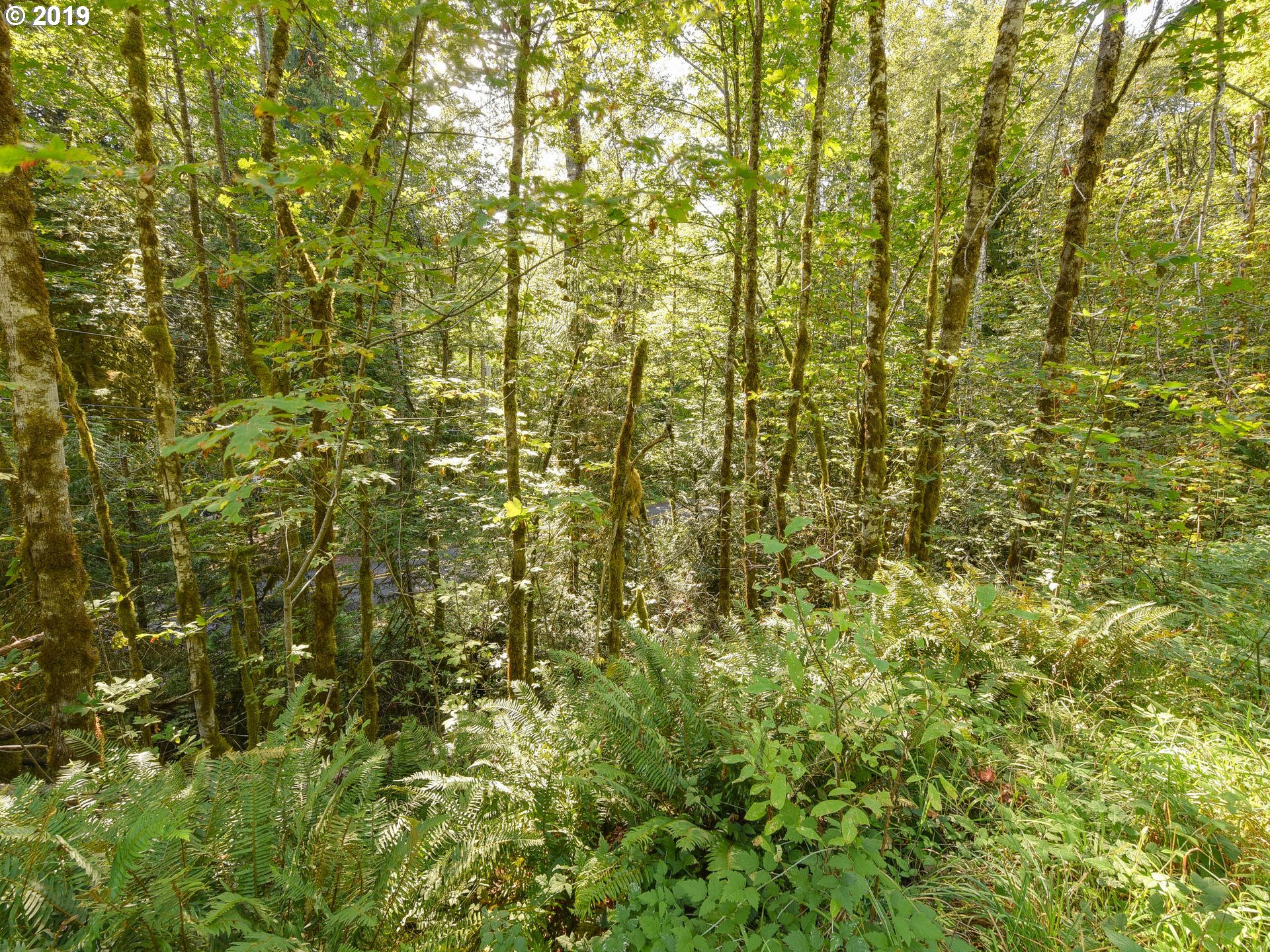 0 East Welches Road, Unit 7 Welches, OR 97067 - Photo 14 of 32 Gallery Image 14