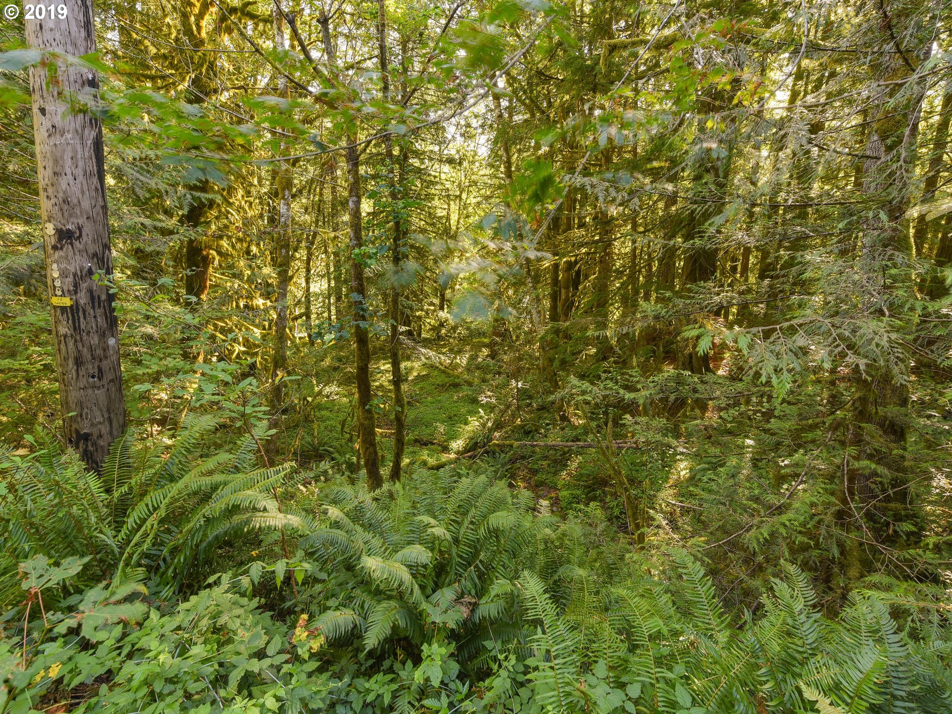 0 East Welches Road, Unit 7 Welches, OR 97067 - Photo 16 of 32 Gallery Image 16