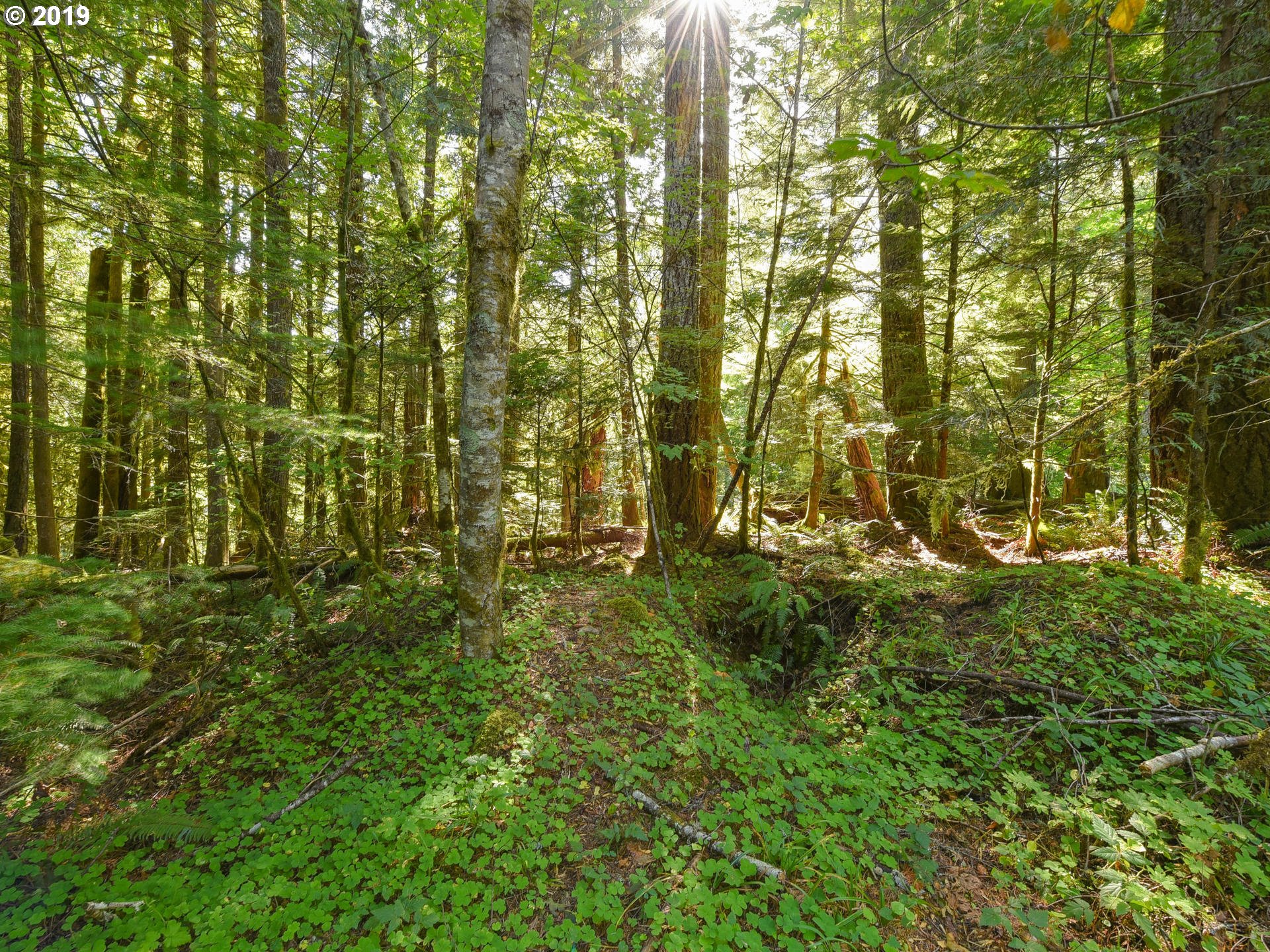0 East Welches Road, Unit 7 Welches, OR 97067 - Photo 17 of 32 Gallery Image 17