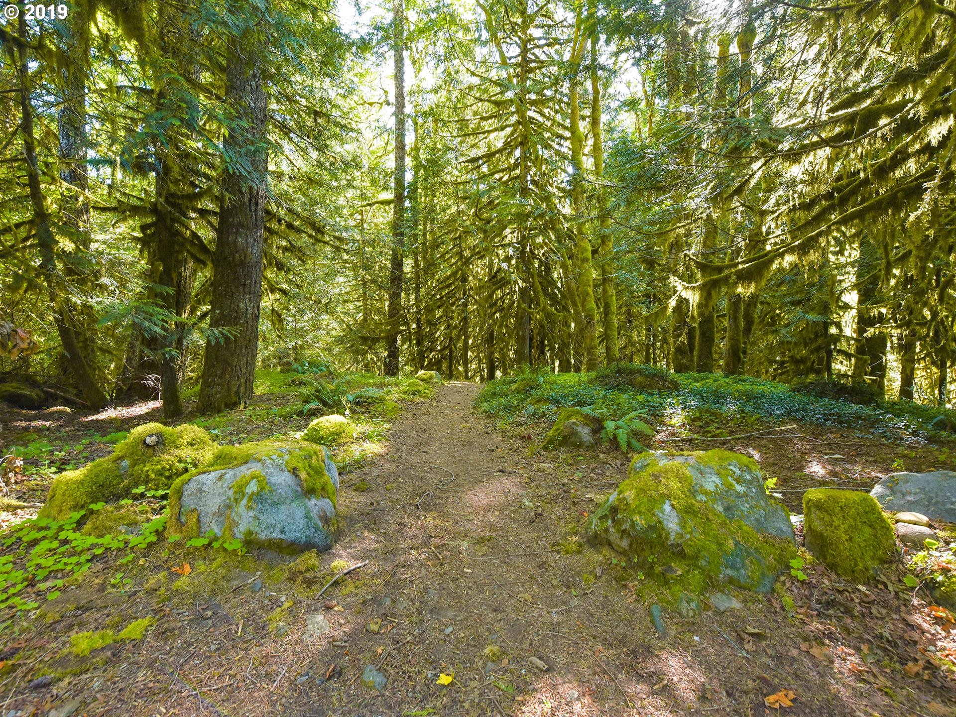 0 East Welches Road, Unit 7 Welches, OR 97067 - Photo 21 of 32 Gallery Image 21
