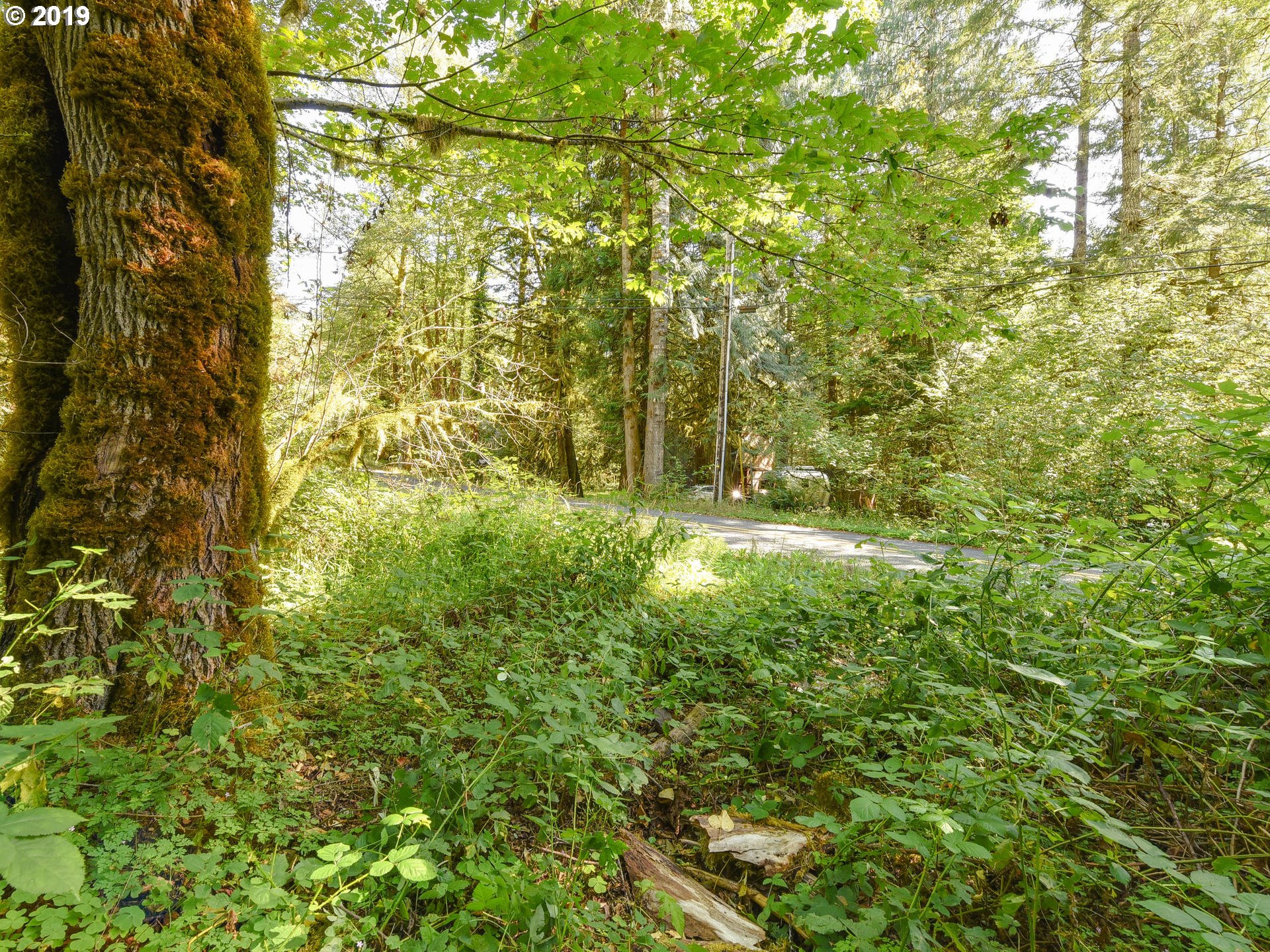 0 East Welches Road, Unit 7 Welches, OR 97067 - Photo 5 of 32 Gallery Image 5