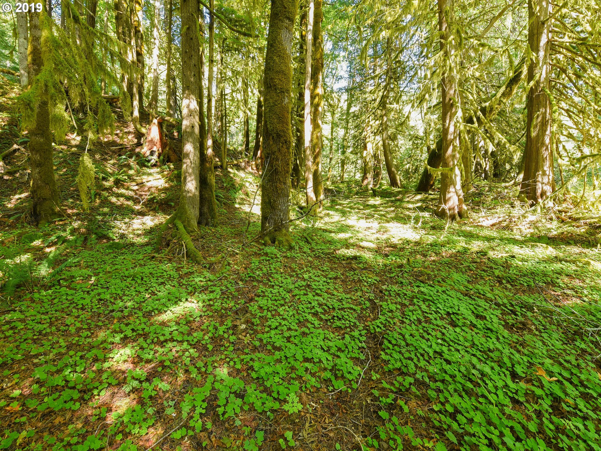 0 East Welches Road, Unit 7 Welches, OR 97067 - Photo 9 of 32 Gallery Image 9
