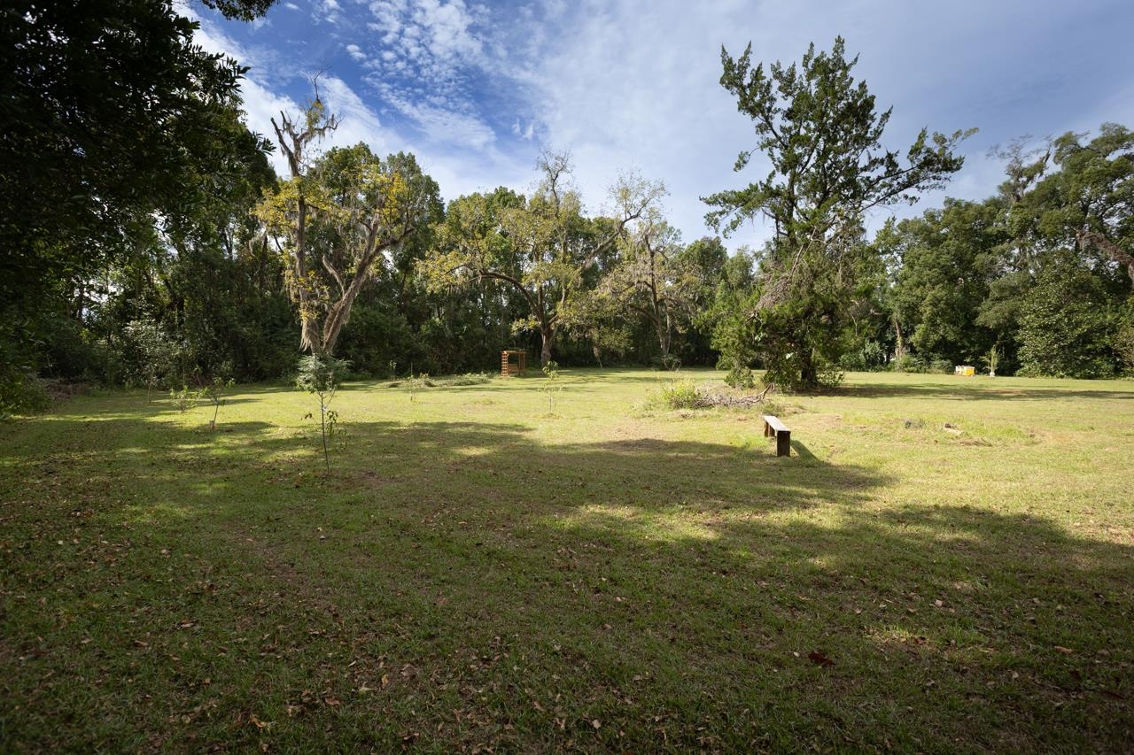 515 East Palmer Mill Road Monticello, FL 32344 - Photo 2 of 57