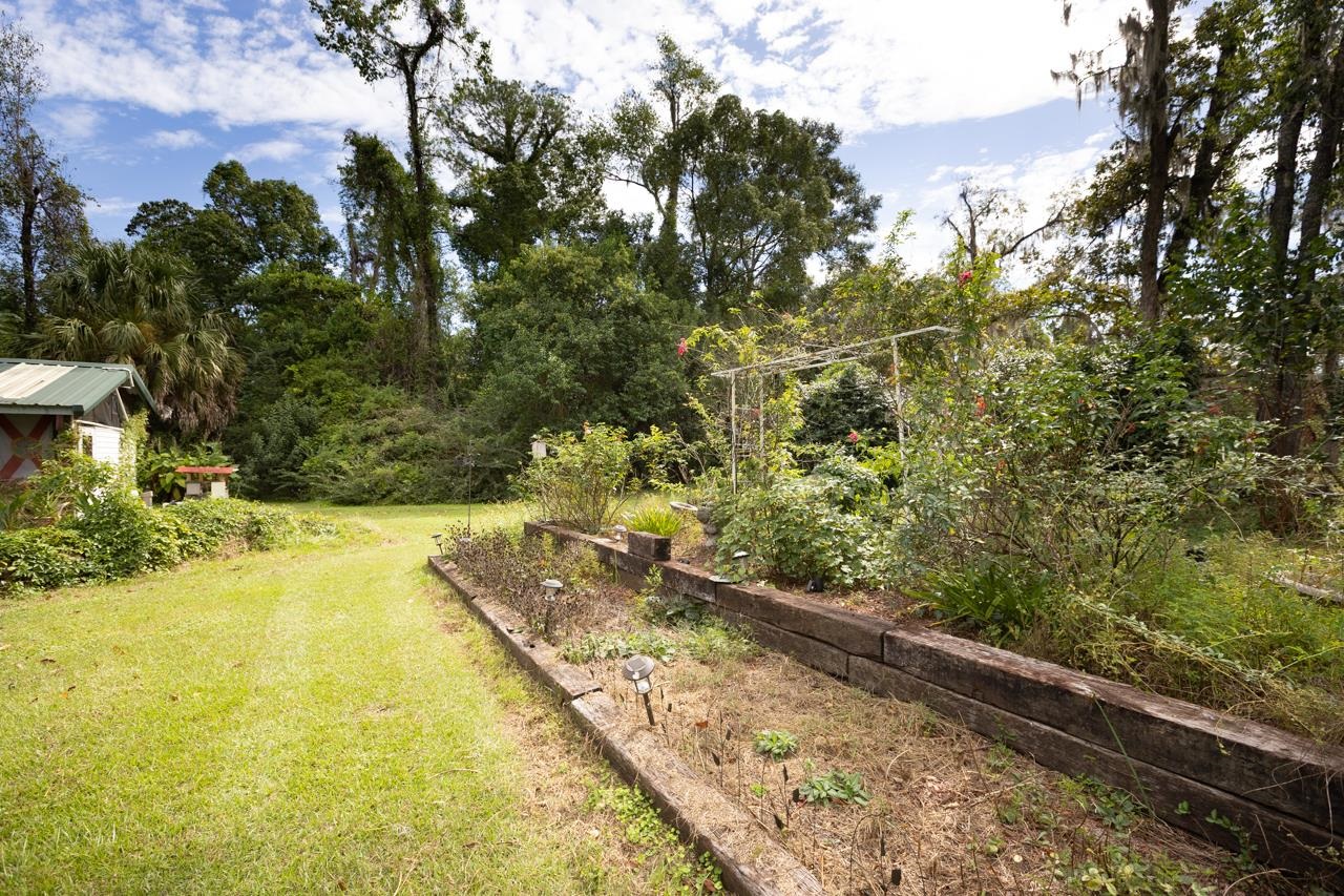 515 East Palmer Mill Road Monticello, FL 32344 - Photo 5 of 57