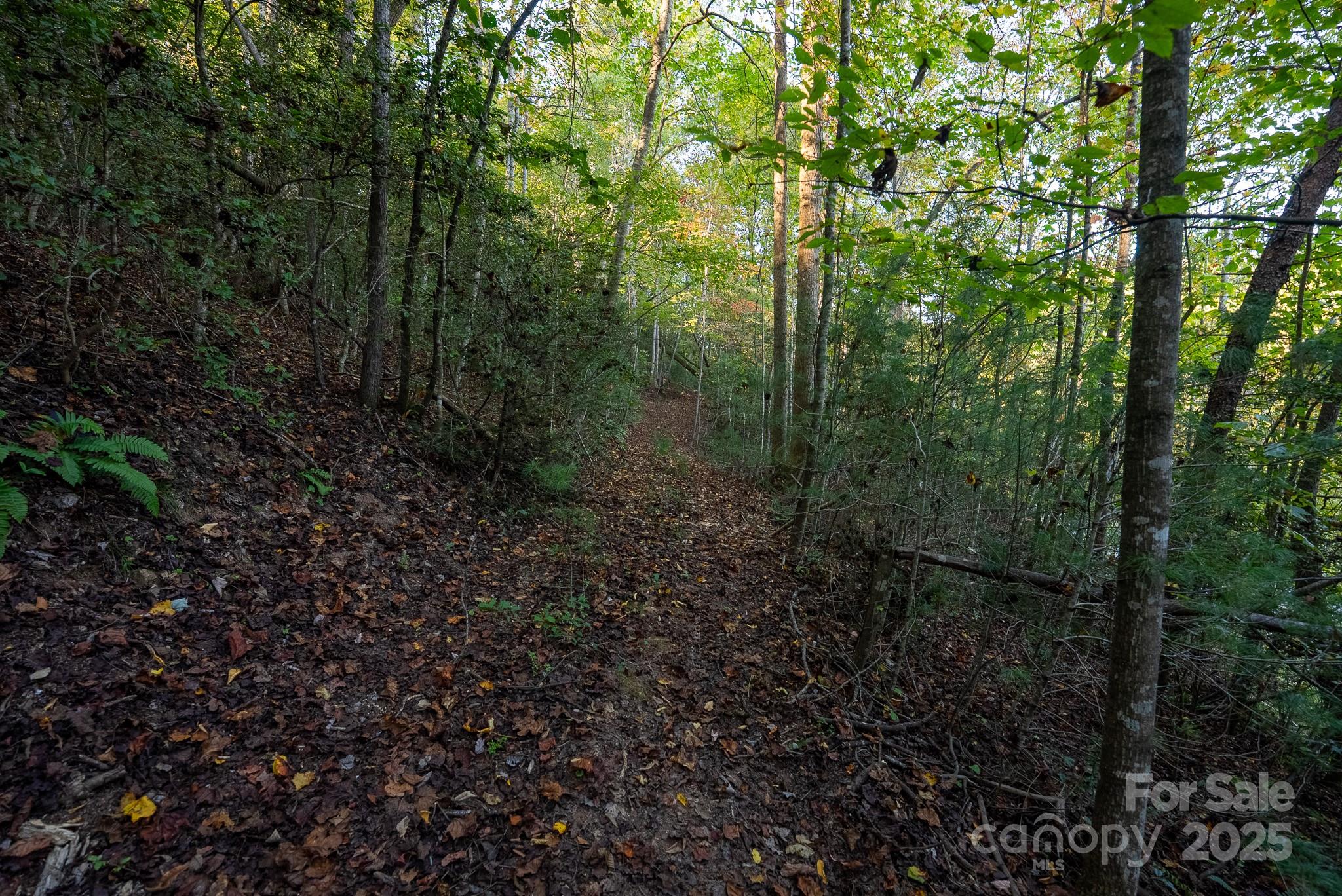 0 Shell Creek Road Ferguson, NC 28624 - Photo 18 of 28 Gallery Image 18