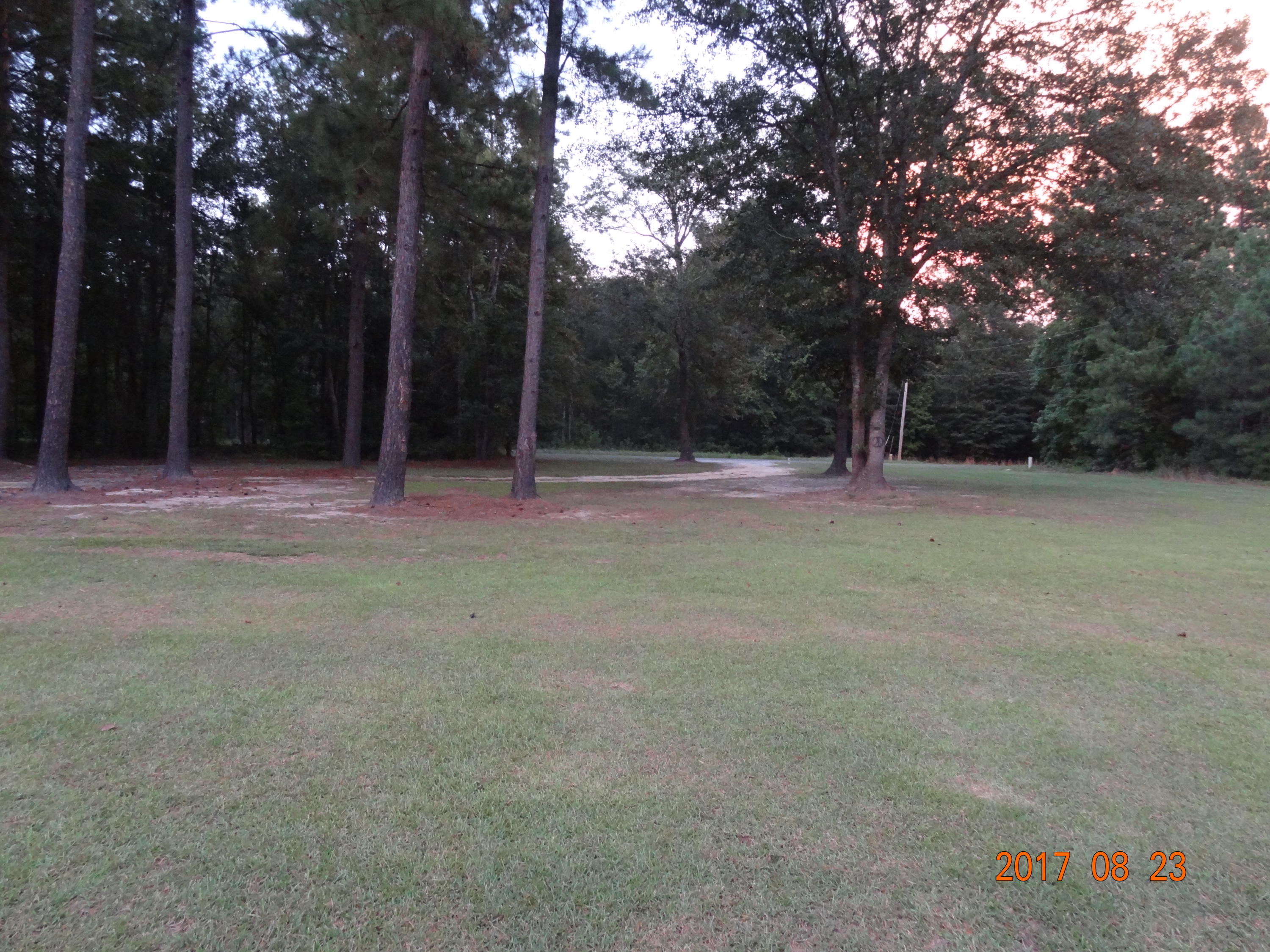 2147 Thomas Road Ruffin, SC 29475 - Photo 49 of 49 DSC06811