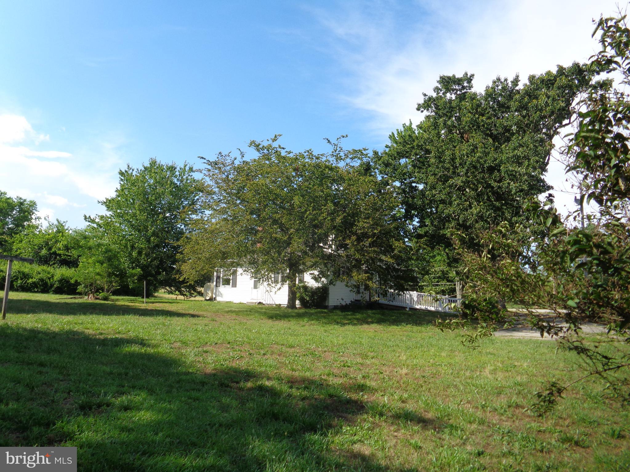 9145 Mackall Road St. Leonard, MD 20685 - Photo 18 of 48 Big back yard