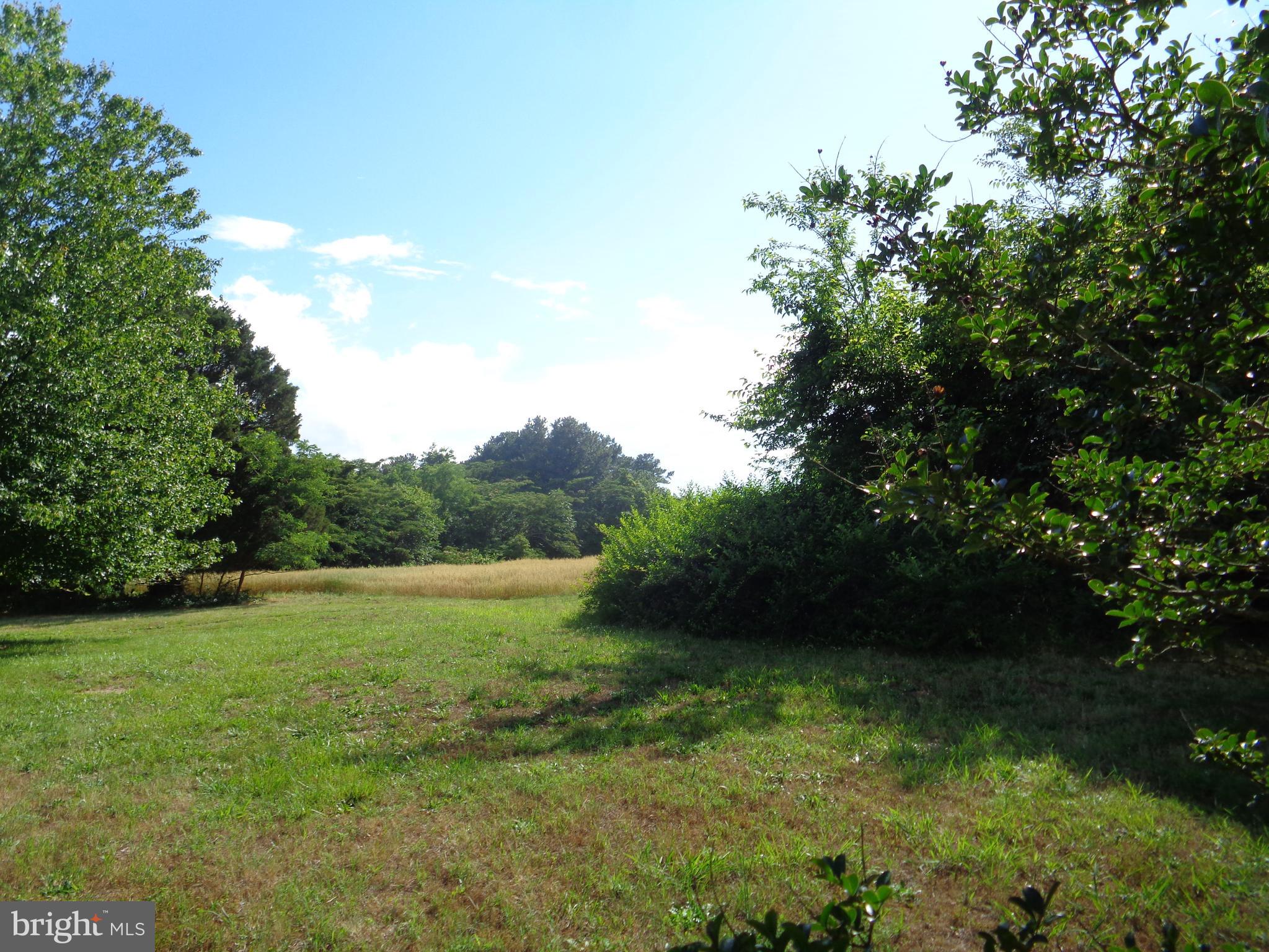 9145 Mackall Road St. Leonard, MD 20685 - Photo 41 of 48 Side acreage - crop does not convey